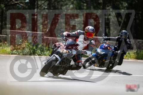 Passo del Muraglione 11-05-25 h12-10 0983