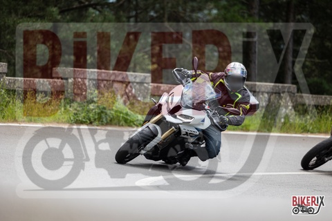 Passo del Muraglione 11-05-25 h12-37 1191