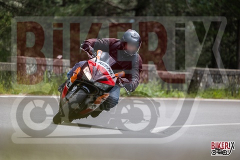 Passo del Muraglione 11-05-25 h12-59 1353