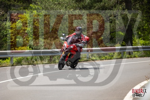 Passo del Muraglione 11-05-25 h13-39 1593