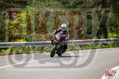 Passo del Muraglione 11-05-25 h13-39 1595