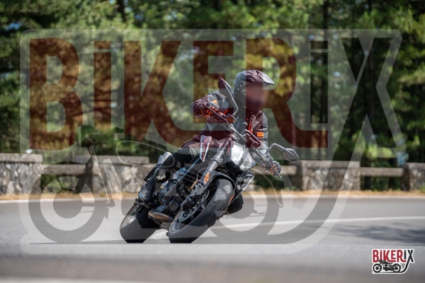 Passo del Muraglione 12-07-25 h14-51 1249