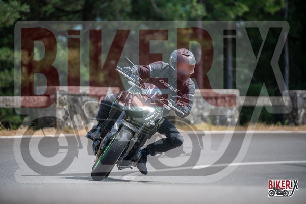 Passo del Muraglione 12-07-25 h14-57 1260