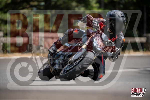 Passo del Muraglione 12-07-25 h15-07 1298