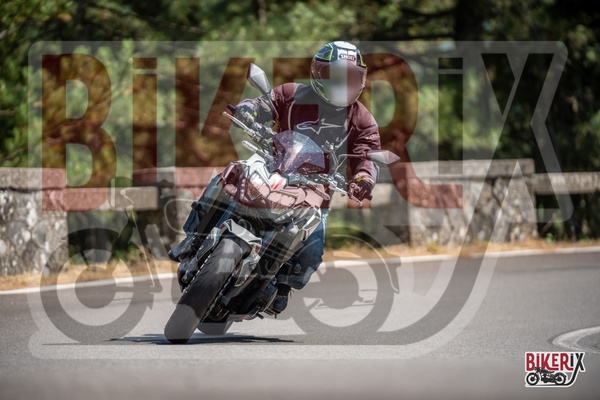 Passo del Muraglione 12-07-25 h15-08 1303