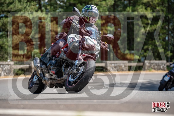 Passo del Muraglione 12-07-25 h15-08 1304