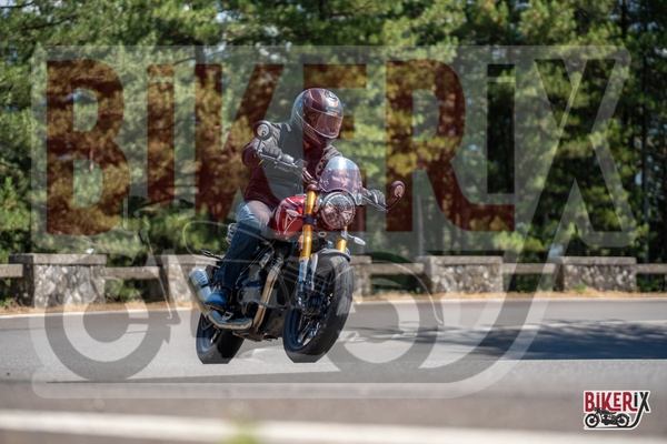 Passo del Muraglione 12-07-25 h15-16 1324