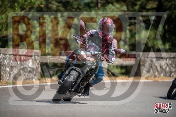 Passo del Muraglione 12-07-25 h15-20 1332