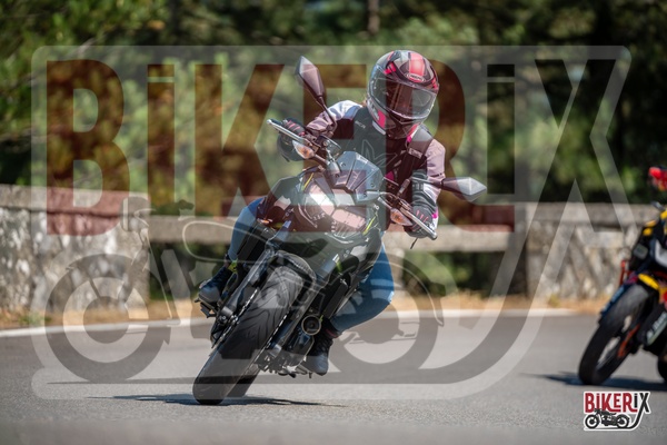 Passo del Muraglione 12-07-25 h15-20 1333