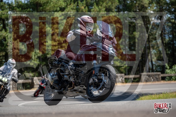 Passo del Muraglione 12-07-25 h15-23 1337