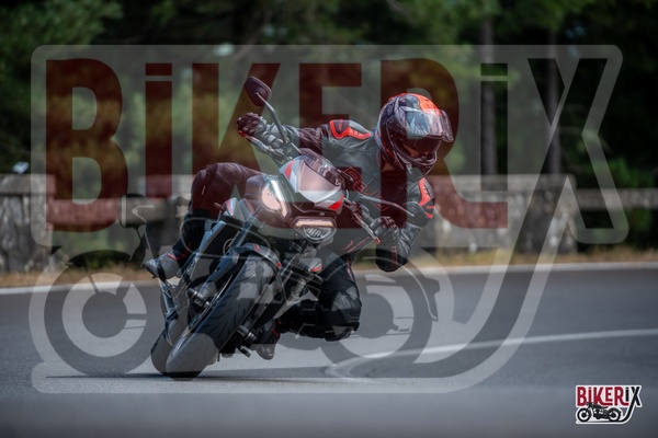 Passo del Muraglione 12-07-25 h15-33 1369