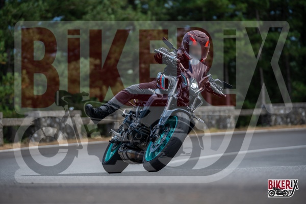 Passo del Muraglione 12-07-25 h15-36 1392