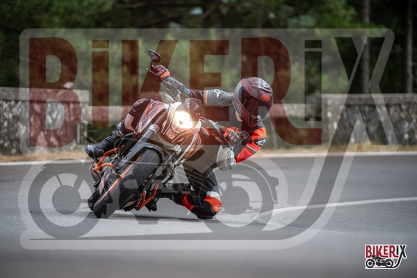 Passo del Muraglione 12-07-25 h15-45 1441