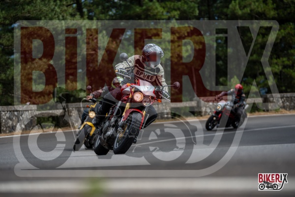 Passo del Muraglione 12-07-25 h15-46 1458