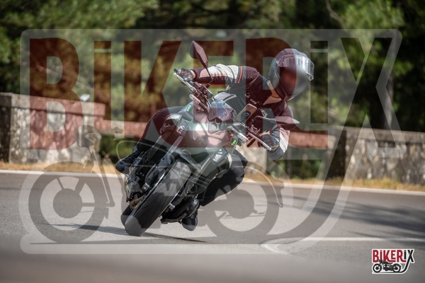 Passo del Muraglione 12-07-25 h15-48 1491