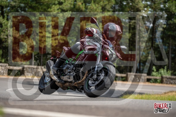 Passo del Muraglione 12-07-25 h15-48 1492