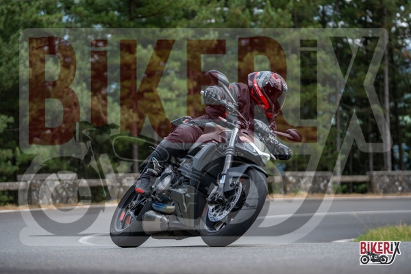 Passo del Muraglione 12-07-25 h15-52 1548