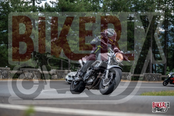 Passo del Muraglione 12-07-25 h15-58 1577