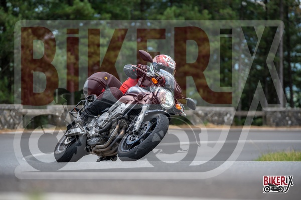 Passo del Muraglione 12-07-25 h15-59 1591