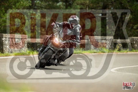 Passo del Muraglione 13-09-25 h13-43 1554