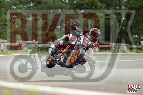 Passo del Muraglione 13-09-25 h13-54 1628