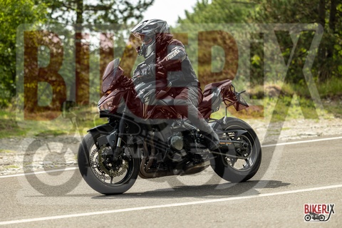 Passo del Muraglione 13-09-25 h14-03 1686