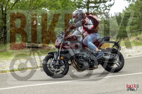 Passo del Muraglione 13-09-25 h14-22 1769