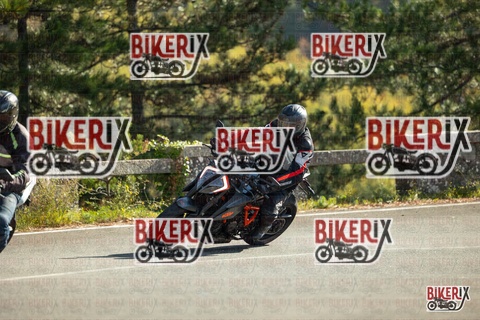 Passo del Muraglione 19-10-25 h10-40 0028