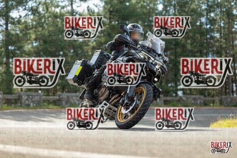 Passo del Muraglione 19-10-25 h10-54 0048