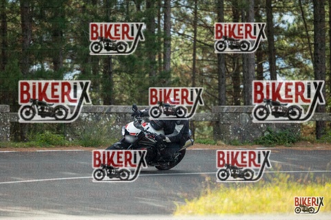 Passo del Muraglione 19-10-25 h11-02 0061