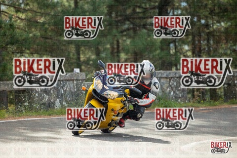 Passo del Muraglione 19-10-25 h11-02 0071