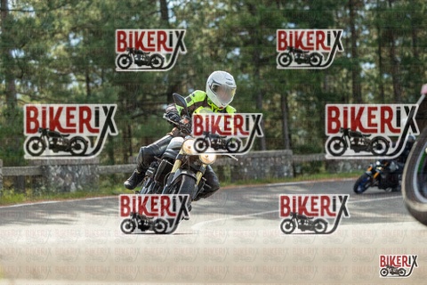 Passo del Muraglione 19-10-25 h11-02 0078