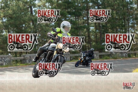 Passo del Muraglione 19-10-25 h11-02 0080