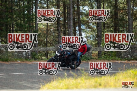 Passo del Muraglione 19-10-25 h11-04 0088