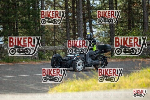 Passo del Muraglione 19-10-25 h11-04 0094