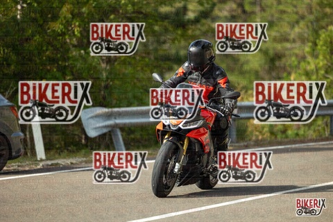 Passo del Muraglione 19-10-25 h11-06 0114