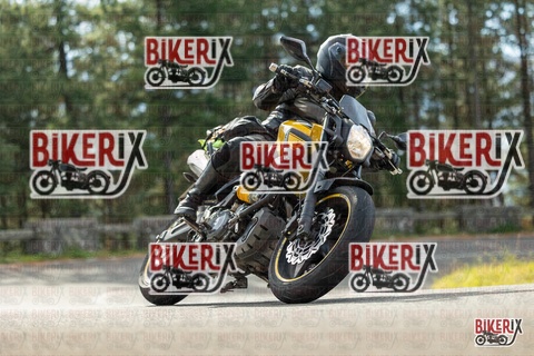 Passo del Muraglione 19-10-25 h11-07 0128