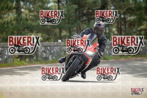 Passo del Muraglione 19-10-25 h11-10 0156