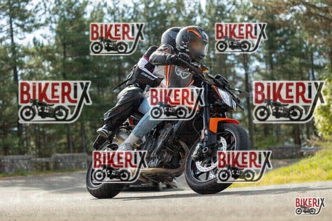 Passo del Muraglione 19-10-25 h11-12 0167