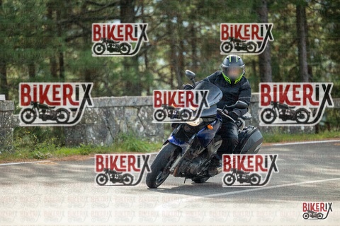 Passo del Muraglione 19-10-25 h11-12 0169