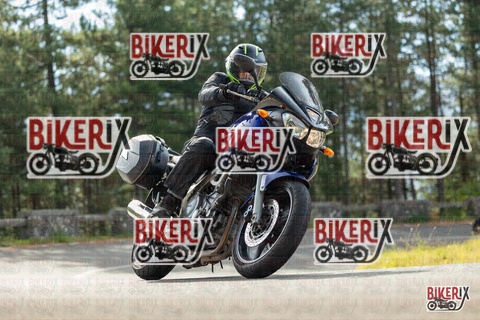 Passo del Muraglione 19-10-25 h11-12 0172