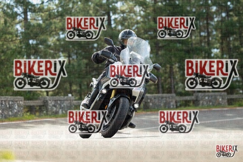 Passo del Muraglione 19-10-25 h11-12 0176