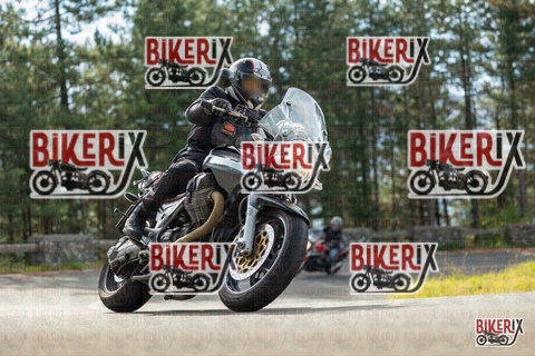 Passo del Muraglione 19-10-25 h11-12 0180