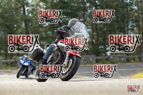 Passo del Muraglione 19-10-25 h11-12 0184