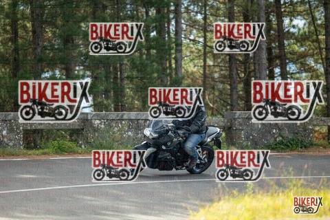 Passo del Muraglione 19-10-25 h11-13 0188