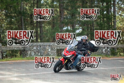 Passo del Muraglione 19-10-25 h11-13 0193