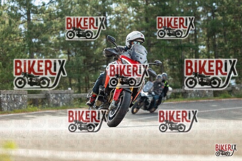 Passo del Muraglione 19-10-25 h11-13 0215