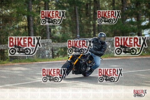 Passo del Muraglione 19-10-25 h11-16 0222