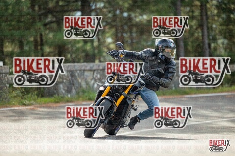 Passo del Muraglione 19-10-25 h11-16 0223