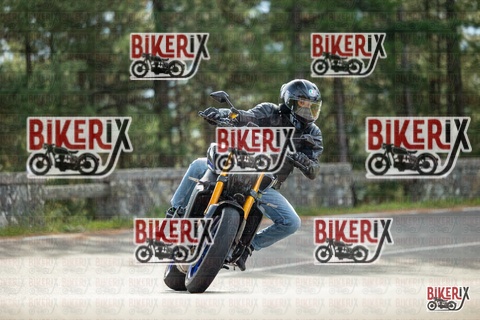 Passo del Muraglione 19-10-25 h11-16 0224